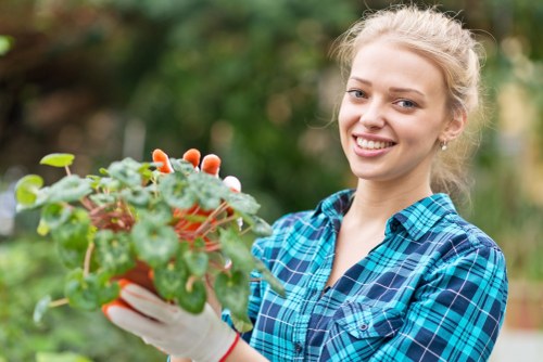 Lawn and garden maintenance in Brunswick Park