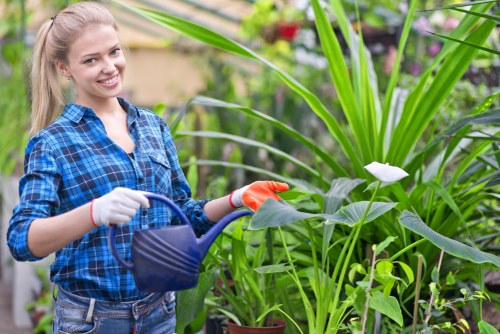 Gardening services in Brunswick Park maintaining a neat residential garden