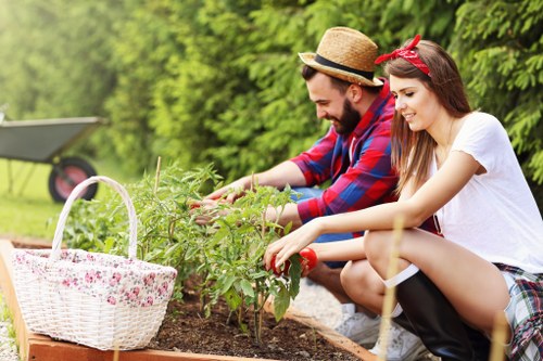 Service record and resolution steps for gardening work