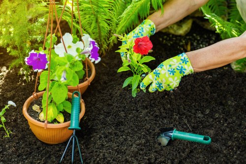 Grass maintenance and mowing for a Brunswick Park garden