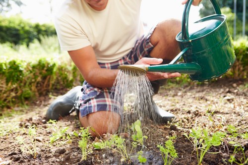 Brunswick Park gardening professionals planting and refreshing flower beds