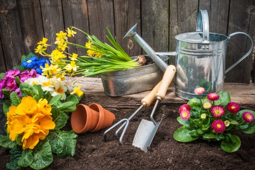 Brunswick Park garden transformed with expert care