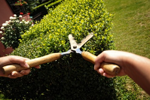 Reusable garden items prepared for charity donation from Brunswick Park