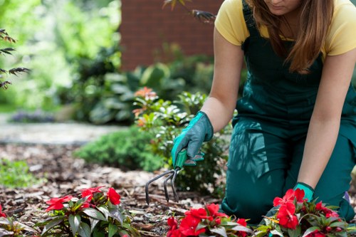 Visual representing screen-reader friendly garden services content