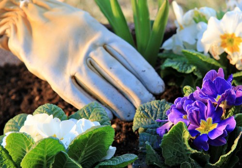 Mulching and planting beds in Brunswick Park