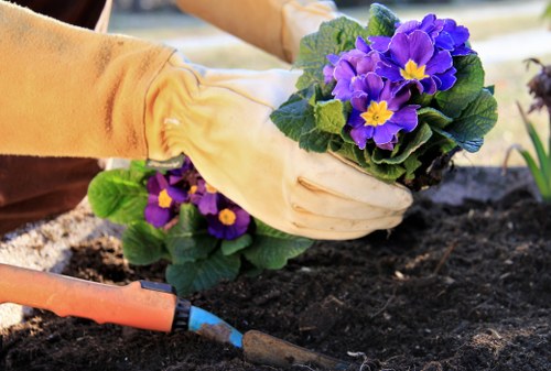 Healthy landscaped trees maintained by tree surgery in Brunswick Park