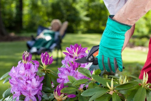 Brunswick Park landscape gardening plan featuring paths, shrubs, and lawn areas