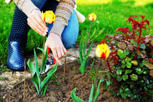 Safe use of gardening machinery during maintenance work