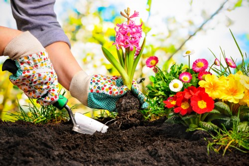 Well-kept garden beds and lawn maintenance in progress