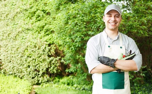 Professional garden maintenance in Brunswick Park