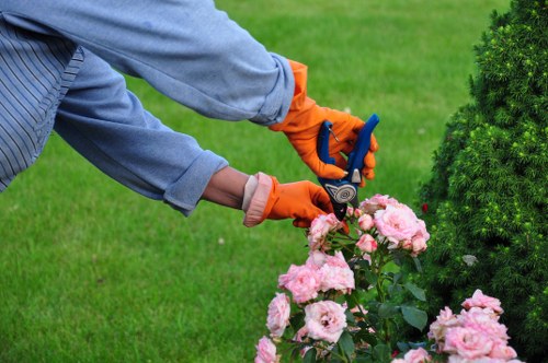 Neatly pruned shrubs and lawn in Brunswick Park